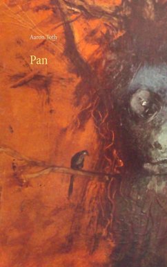 Pan (eBook, ePUB) - Toth, Aaron