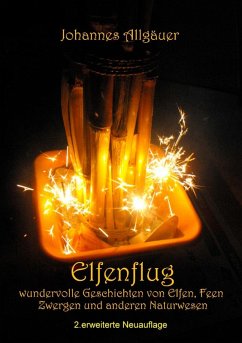 Elfenflug (eBook, ePUB) - Allgäuer, Johannes