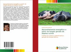 Aproveitamento energético a partir do biogás gerado de dejetos suínos - Santos Bolacell, Gabriel