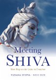 Meeting Shiva (eBook, ePUB)