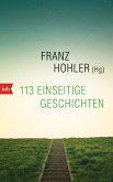 113 einseitige Geschichten (eBook, ePUB)