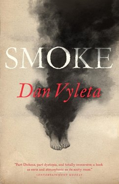 Smoke (eBook, ePUB) - Vyleta, Dan