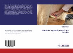Mammary gland pathology in cow