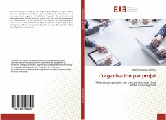 L'organisation par projet - Elyousfi Lemrhari, Meriem