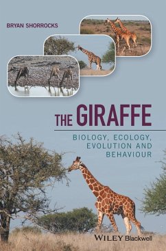 The Giraffe - Shorrocks, Bryan