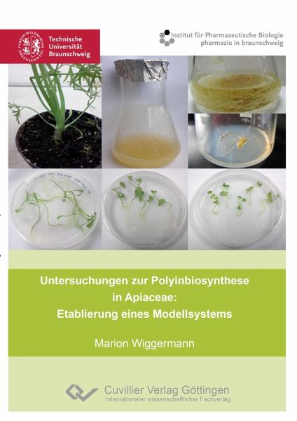 Untersuchungen zur Polyinbiosynthese in Apiaceae: Etablierung eines Modellsystems Untersuchungen zur Polyinbiosynthese in Apiaceae: Etablierung eines Modellsystems