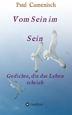 Vom Sein im Sein - Camenisch, Paul