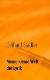 Meine kleine Welt der Lyrik (eBook, ePUB)