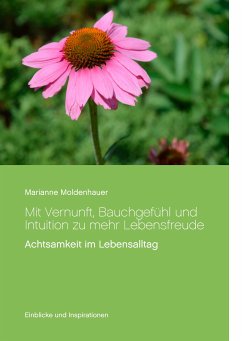 Mit Vernunft, Bauchgefühl und Intuition zu mehr Lebensfreude (eBook, ePUB)