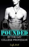 Pounded by the Gay College Professor (eBook, ePUB)