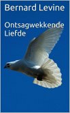 Ontsagwekkende Liefde (eBook, ePUB)