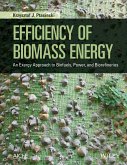 Efficiency of Biomass Energy (eBook, ePUB)