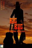 Big Bug (eBook, ePUB)
