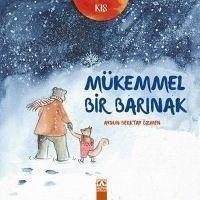 Mükemmel Bir Barinak - Berktay Özmen, Aysun