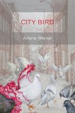 City Bird