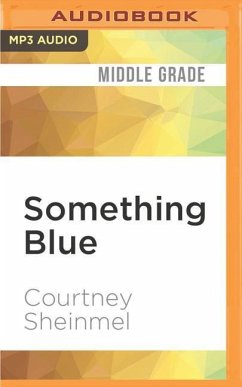 Something Blue - Sheinmel, Courtney