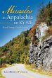 Miracles in Appalachia on KY 92E - Bild 1