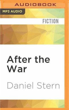 After the War - Stern, Daniel