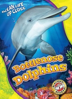 Bottlenose Dolphins - Schuetz, Kari