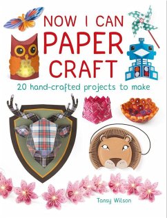Now I Can Paper Craft: 20 Hand-Crafted Projects to Make - Wilson, Tansy