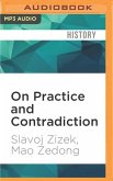 On Practice and Contradiction