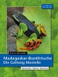 Madagaskar-Buntfrösche - Bild 1