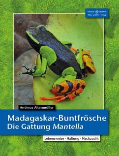 Madagaskar-Buntfrösche - Altenmüller, Andreas