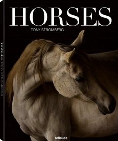 Horses - Stromberg, Tony