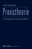 Praxistheorie (eBook, PDF)