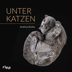 Unter Katzen (eBook, ePUB) - Burba, Andrius