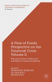 A Flow-Of-Funds Perspective on the Financial Crisis Volume II