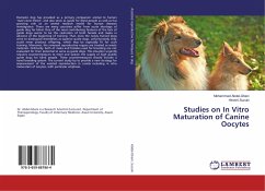 Studies on In Vitro Maturation of Canine Oocytes - Abdel-Ghani, Mohammed;Suzuki, Hiroshi