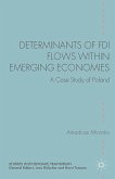 Determinants of FDI Flows Within Emerging Economies