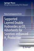 Supported Layered Double Hydroxides as CO2 Adsorbents for Sorption-enhanced H2 Production