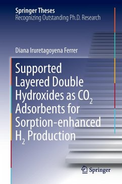 Supported Layered Double Hydroxides as CO2 Adsorbents for Sorption-enhanced H2 Production - Iruretagoyena Ferrer, Diana
