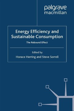 Energy Efficiency and Sustainable Consumption