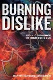 Burning Dislike (eBook, ePUB)