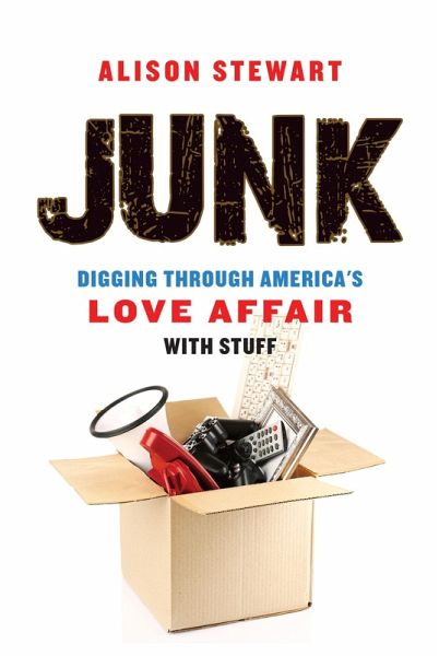 Junk (eBook, ePUB)