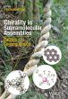 Chirality in Supramolecular Assemblies - Bild 1