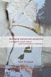 Developing Interactional Competence - Bild 1