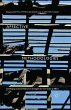 Affective Methodologies - Bild 1