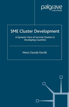 Sme Cluster Development - Parrilli, Mario Davide