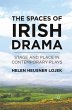 The Spaces of Irish Drama - Bild 1