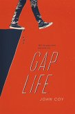Gap Life (eBook, ePUB)