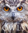 A Parliament of Owls (eBook, ePUB) - Bild 1
