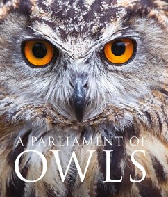 A Parliament of Owls (eBook, ePUB) - Unwin, Mike