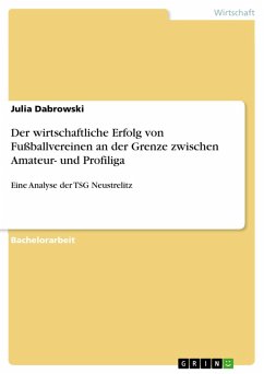 Cover Der wirtschaftliche Erfolg von Fußballvereinen an der Grenze zwischen Amateur- und Profiliga (eBook, ePUB)