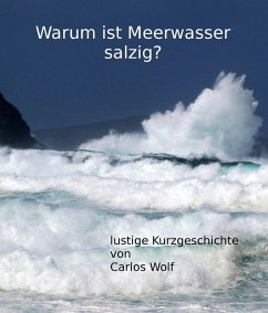 Warum ist Meerwasser salzig? (eBook, ePUB) - Wolf, Carlos
