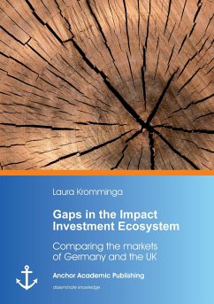 Gaps in the Impact Investment Ecosystem - Kromminga, Laura