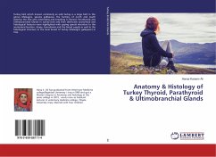 Anatomy & Histology of Turkey Thyroid, Parathyroid & Ultimobranchial Glands